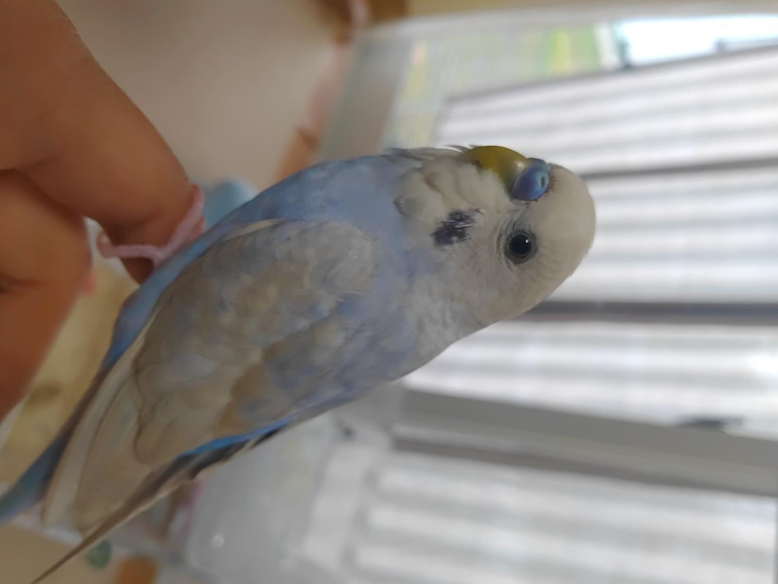くぅちゃん くぅちゃん