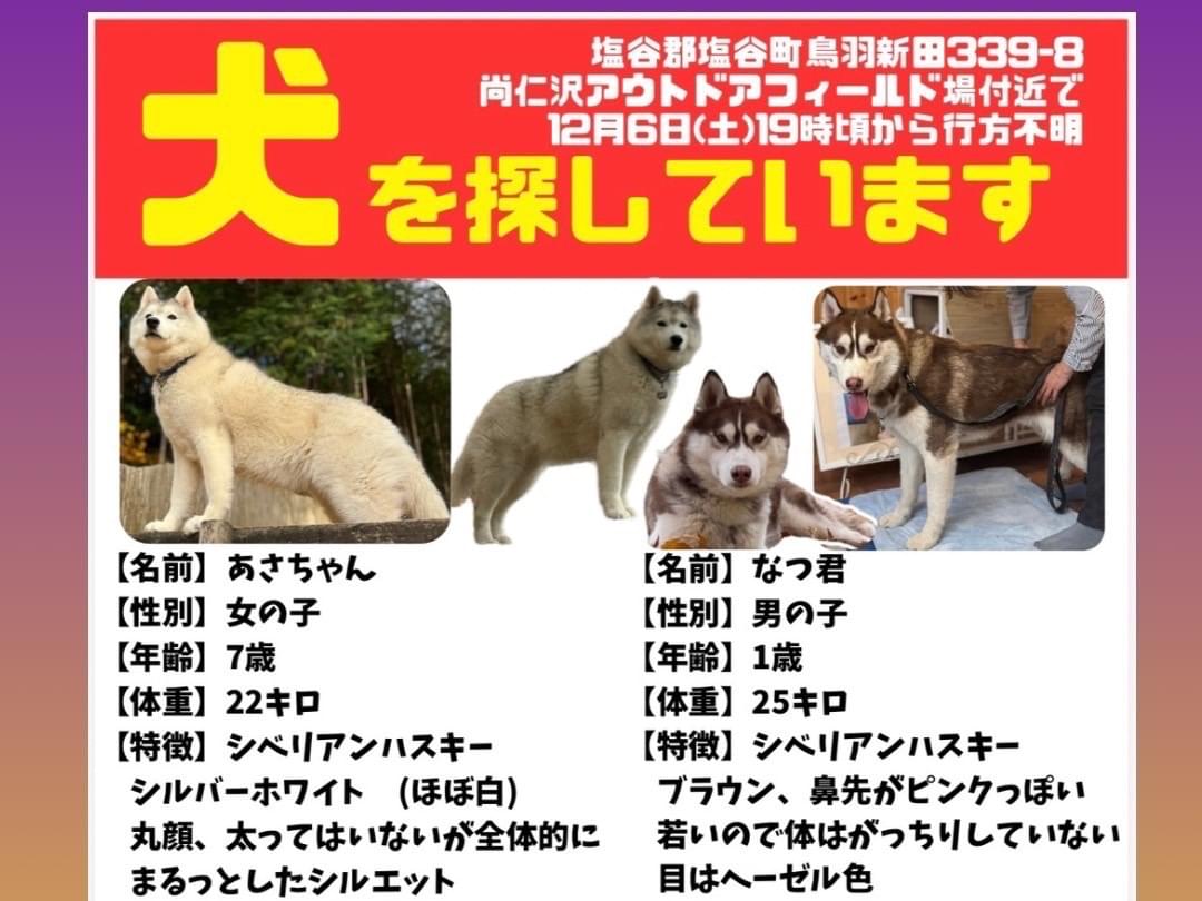 あさちゃん あさちゃん