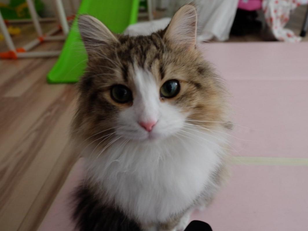サラちゃん サラちゃん