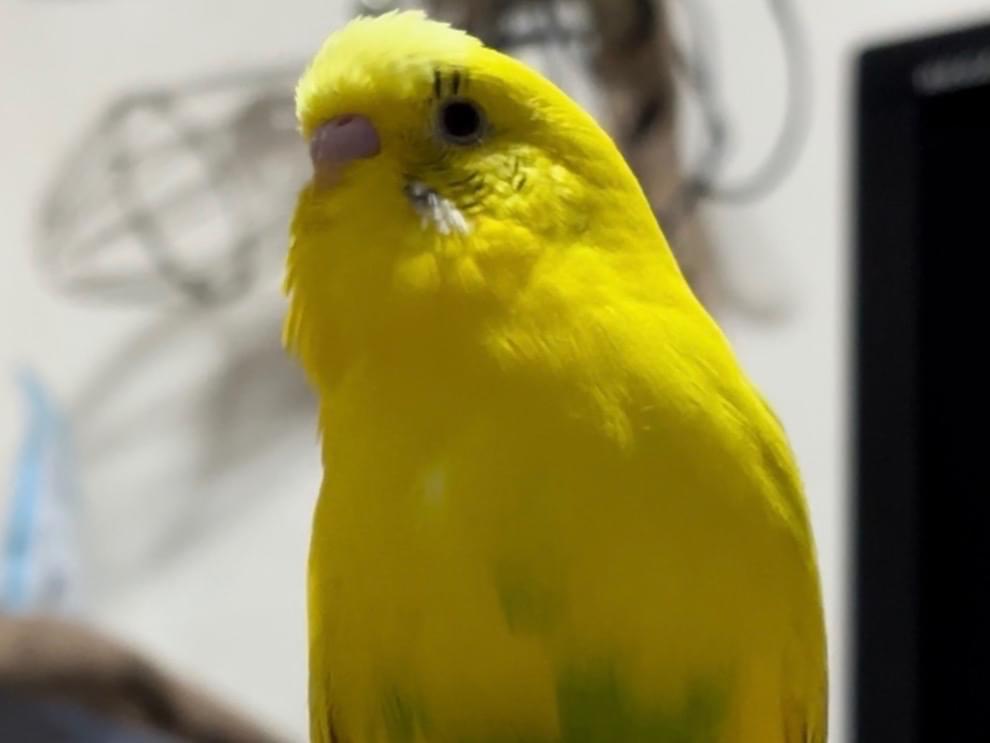 むーちゃん むーちゃん