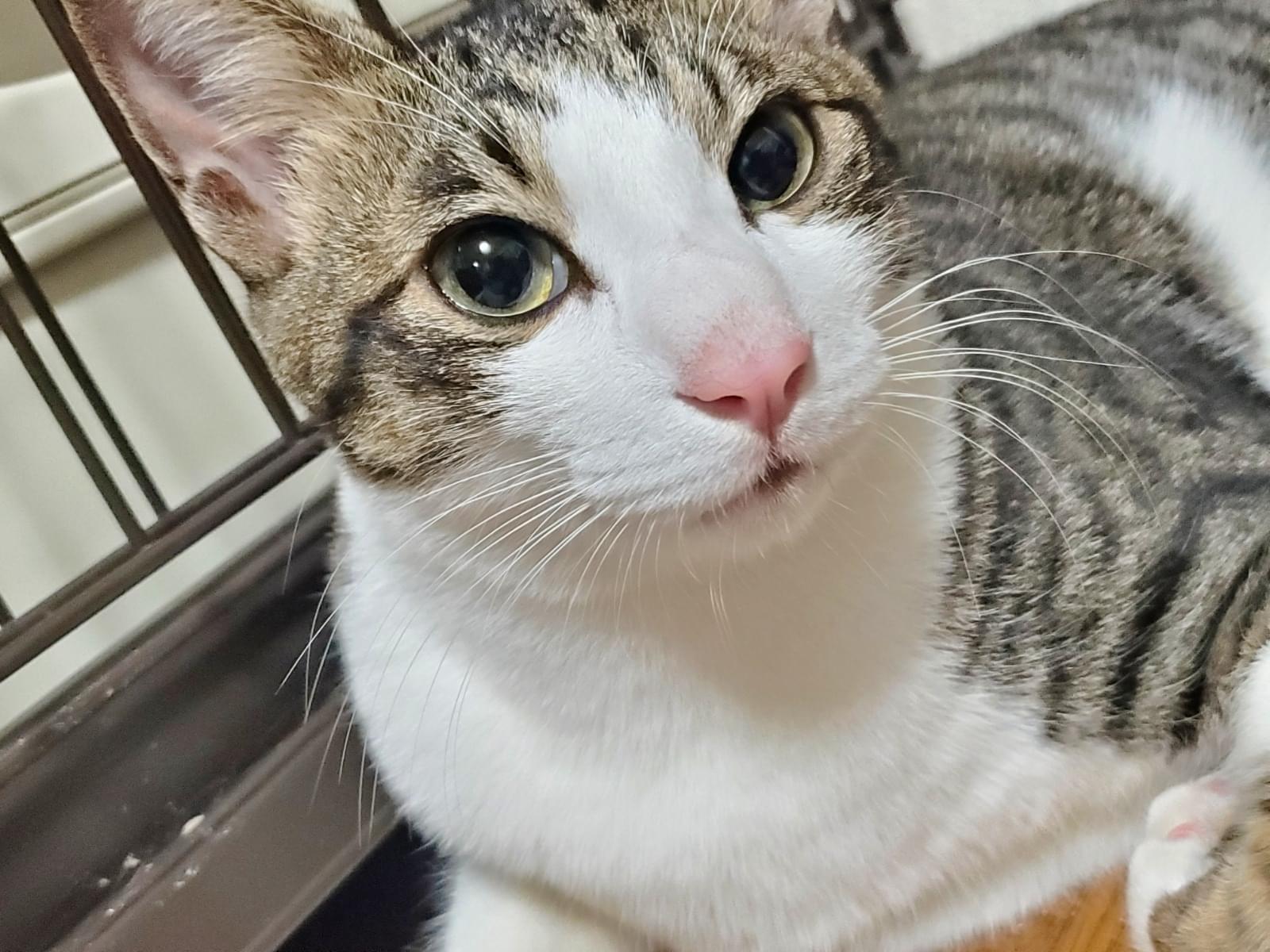 シュウちゃん シュウちゃん