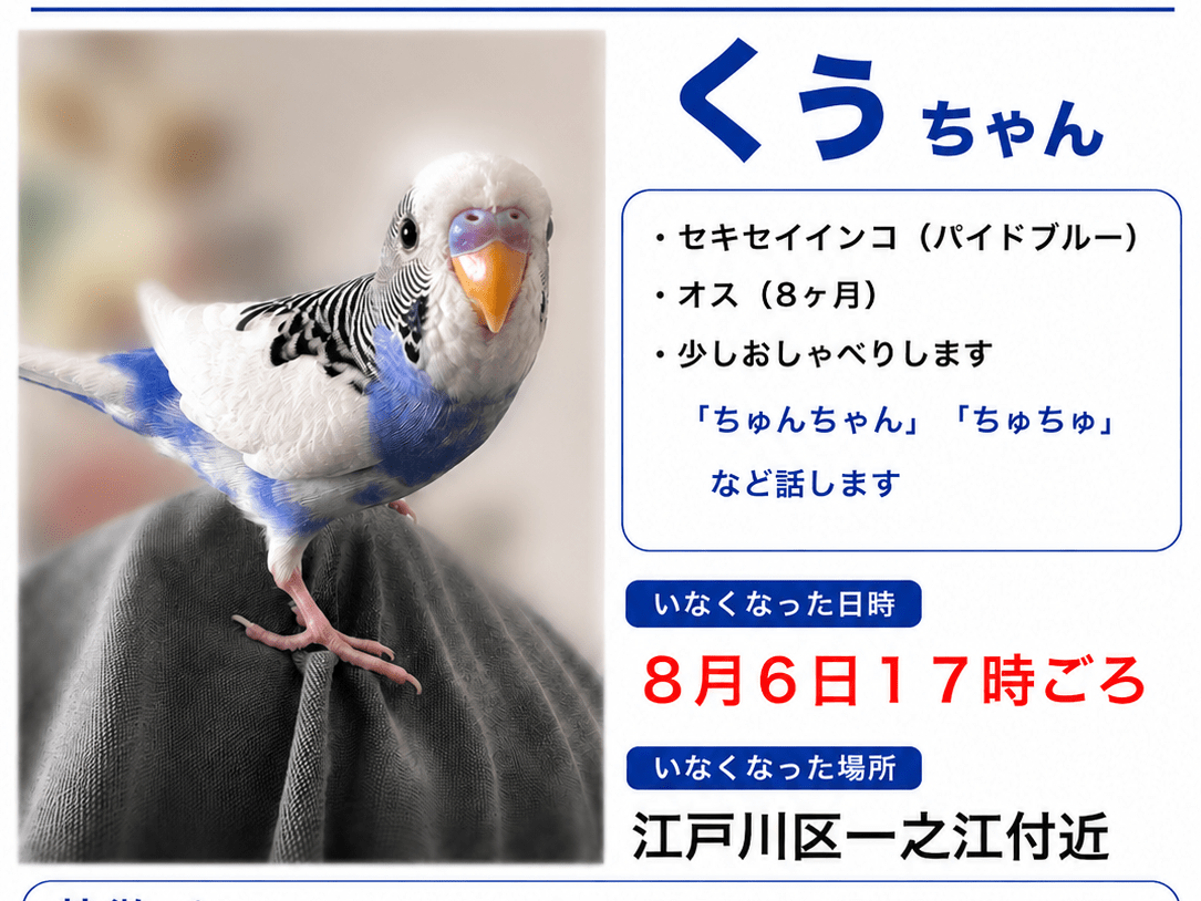 くぅちゃん