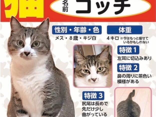 コッチちゃん コッチちゃん