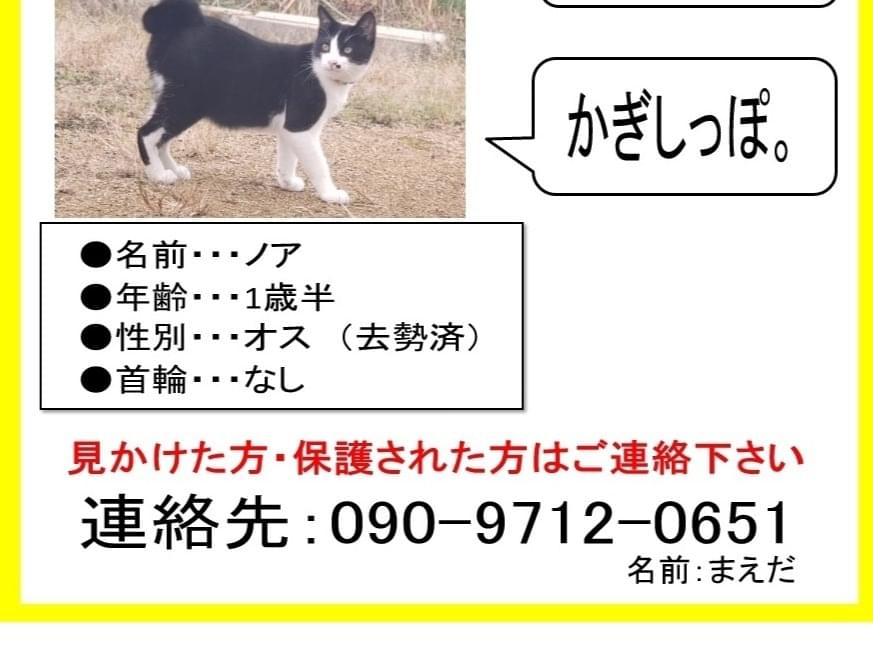 ノアちゃん ノアちゃん