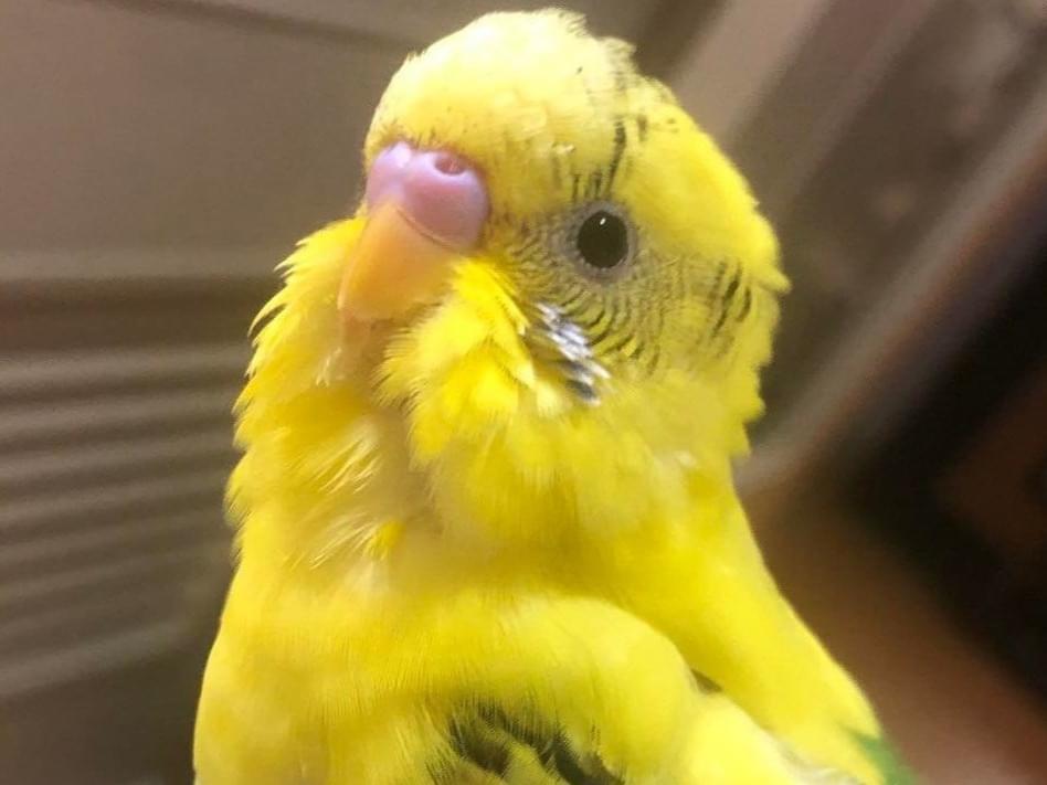 テディちゃん テディちゃん