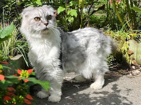 りゅうじちゃん りゅうじちゃん