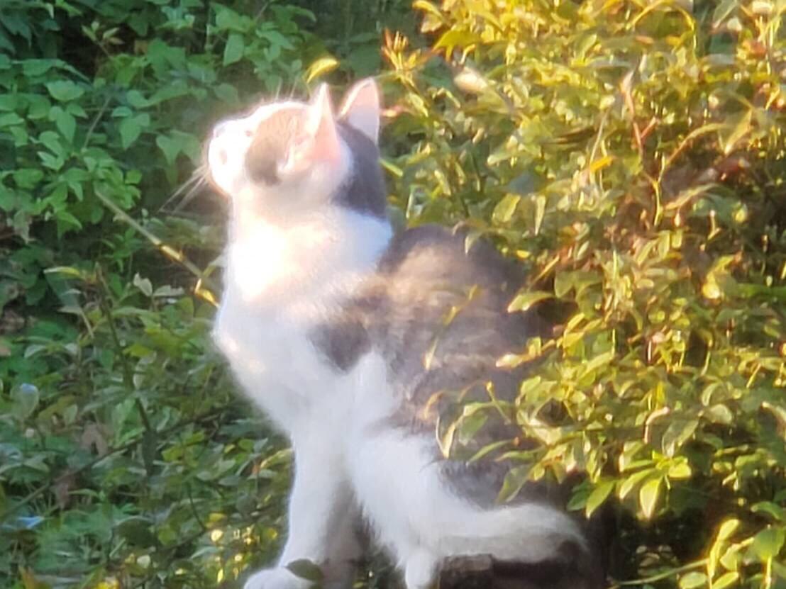 そうちゃん そうちゃん