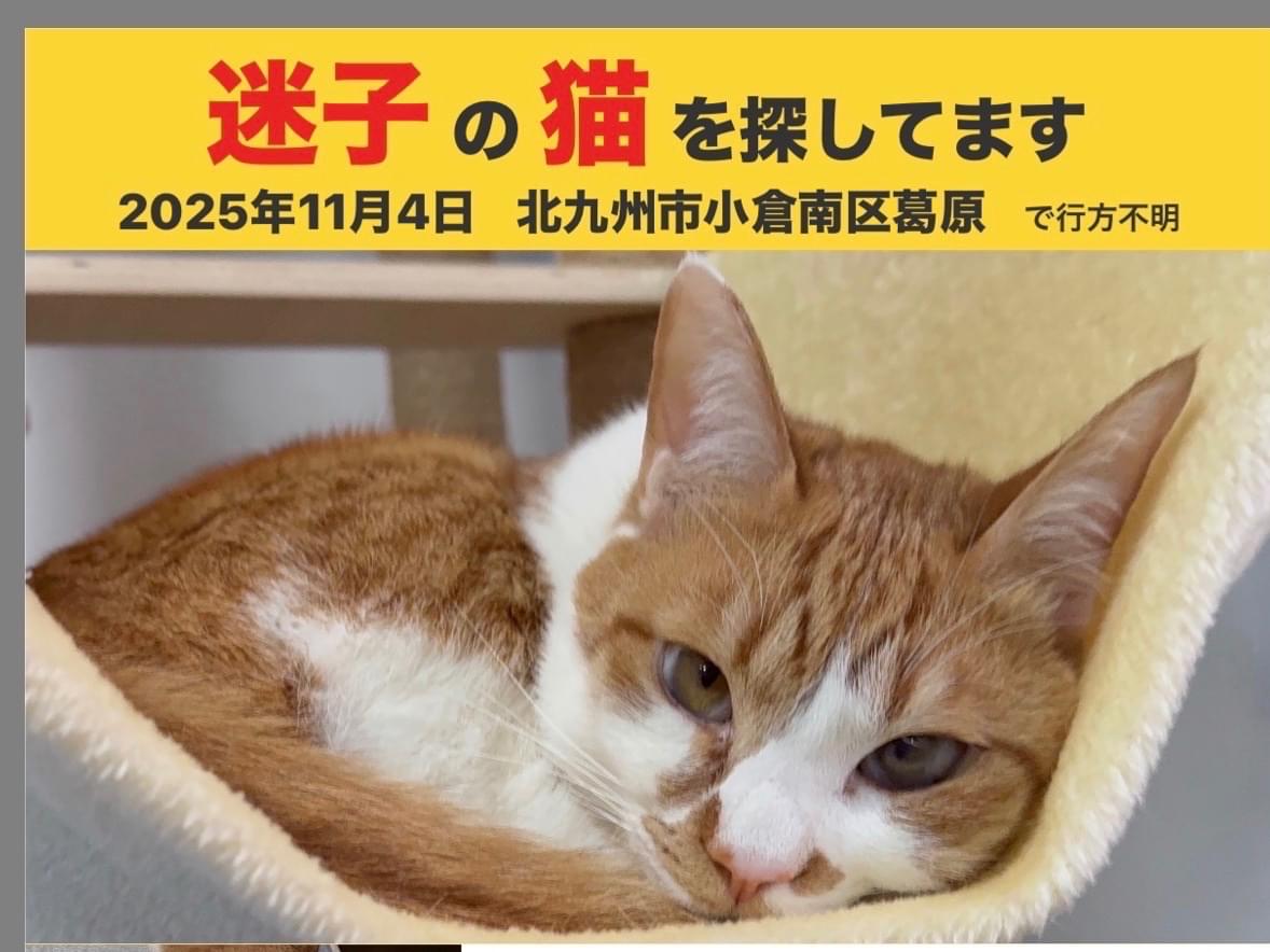 シロちゃん シロちゃん