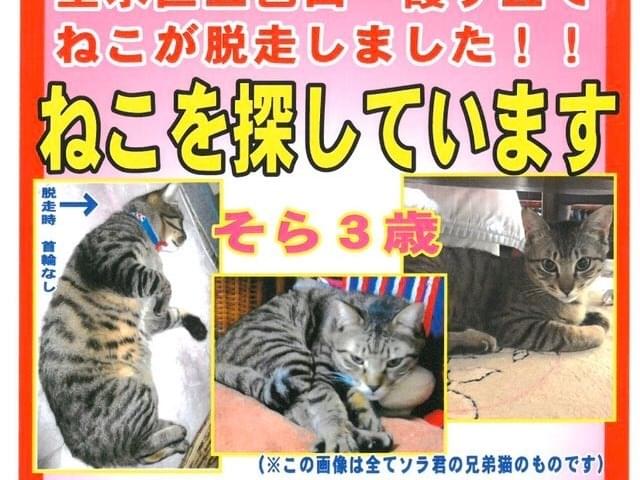 空ちゃん 空ちゃん