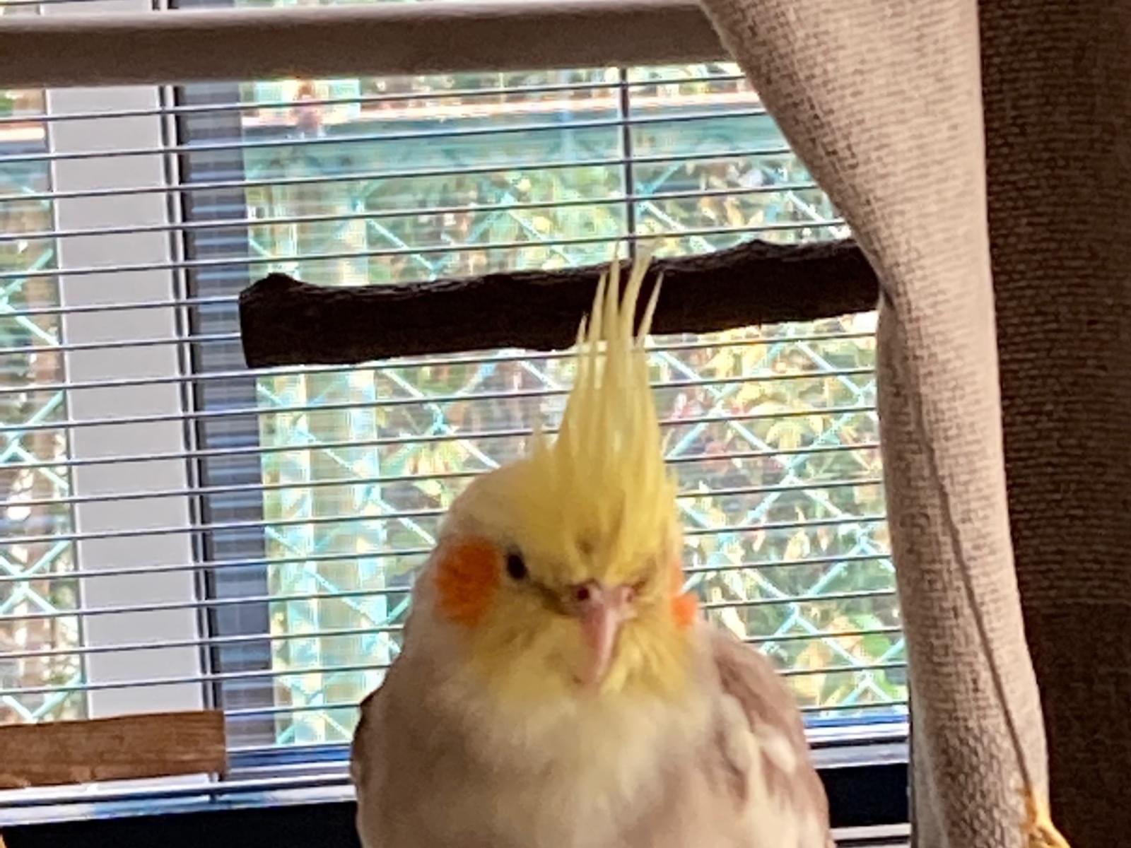 はるちゃん はるちゃん