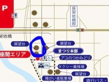 目撃された鳥 目撃された鳥