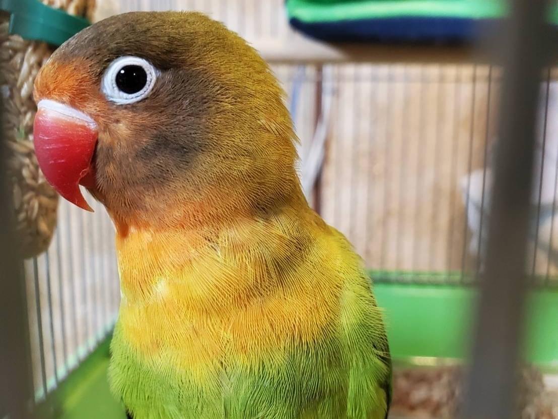 まめちゃん まめちゃん