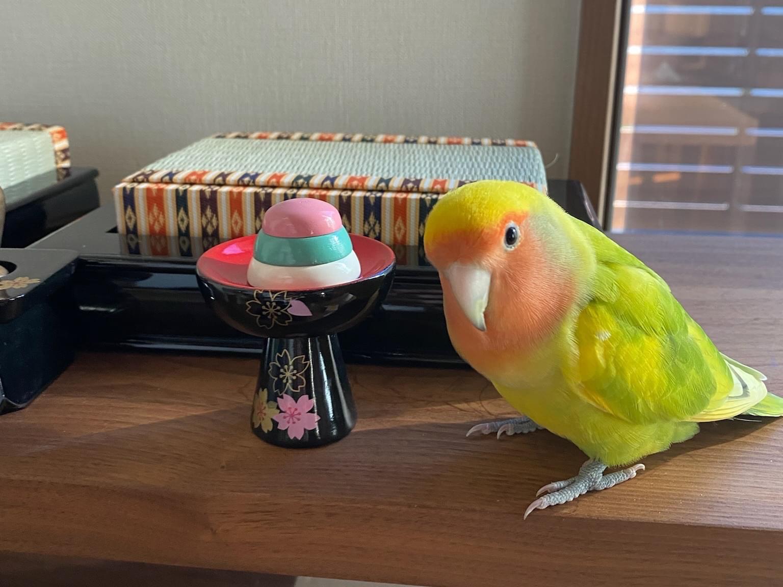 まっちゃちゃん まっちゃちゃん