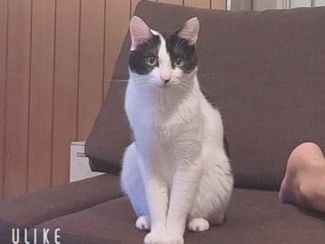 ちびちゃん ちびちゃん