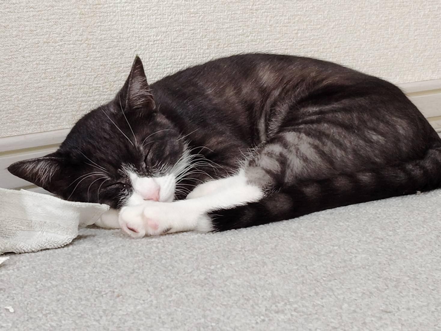 みおんちゃん みおんちゃん