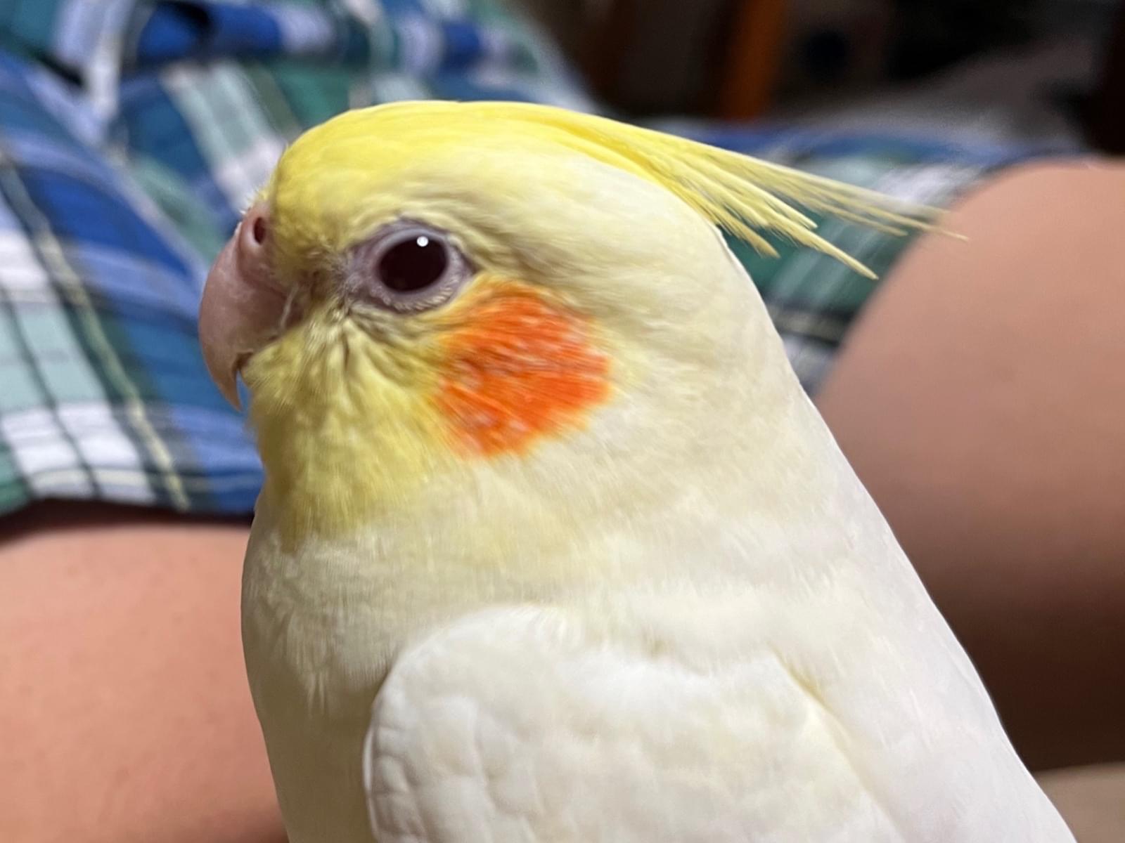 ウタちゃん ウタちゃん