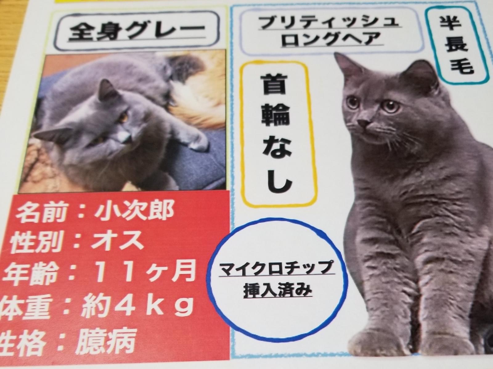 コジローちゃん コジローちゃん