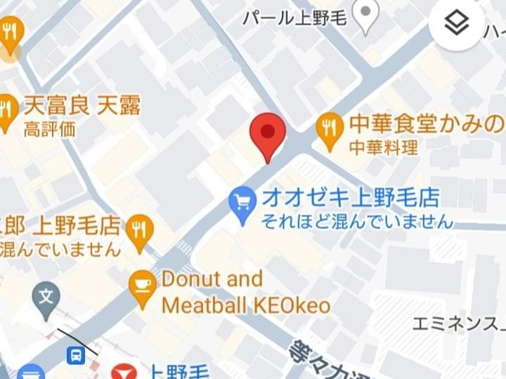 目撃された鳥 目撃された鳥