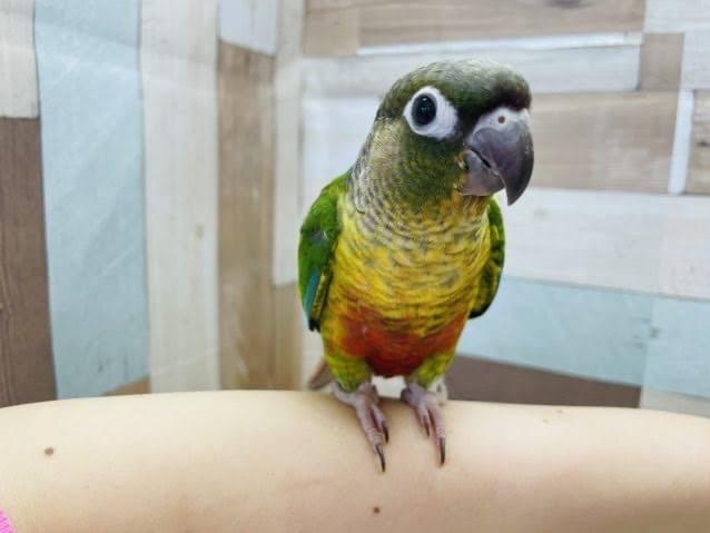 こうちゃん こうちゃん