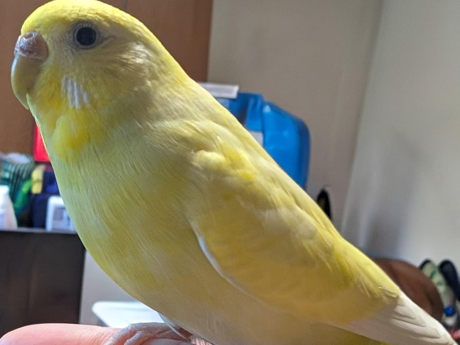 くーちゃん