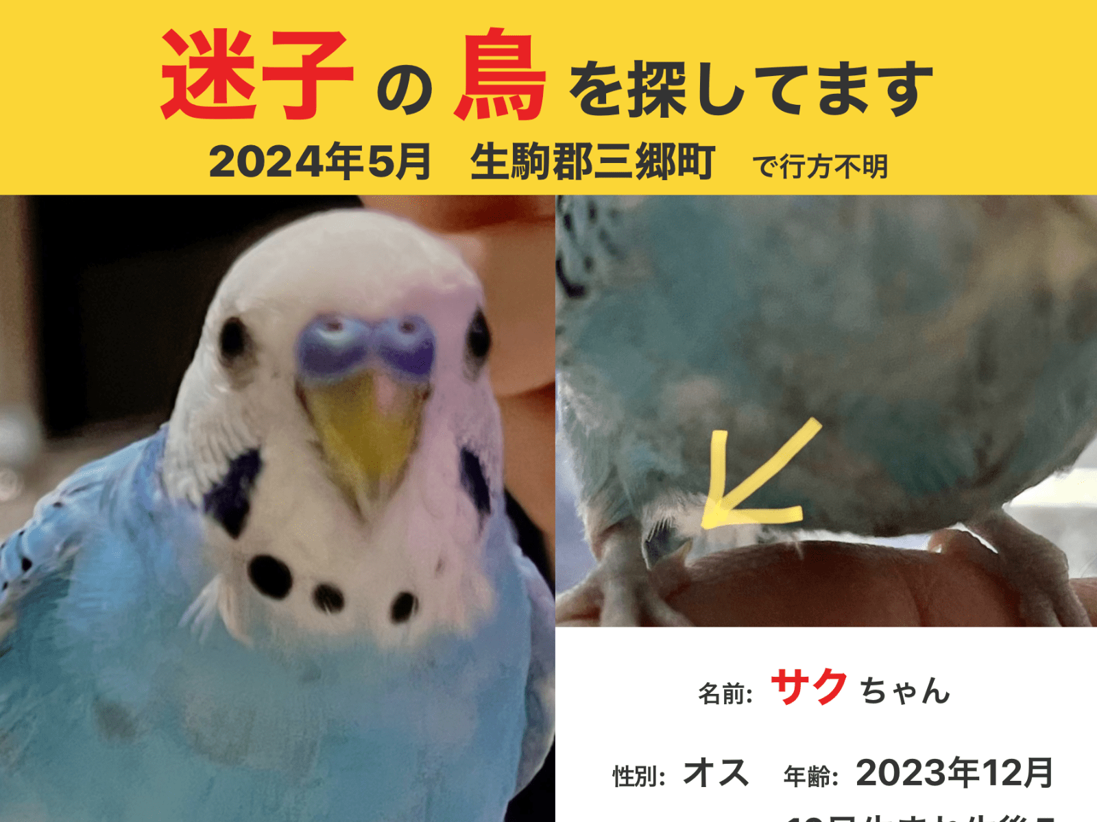 サクちゃん サクちゃん