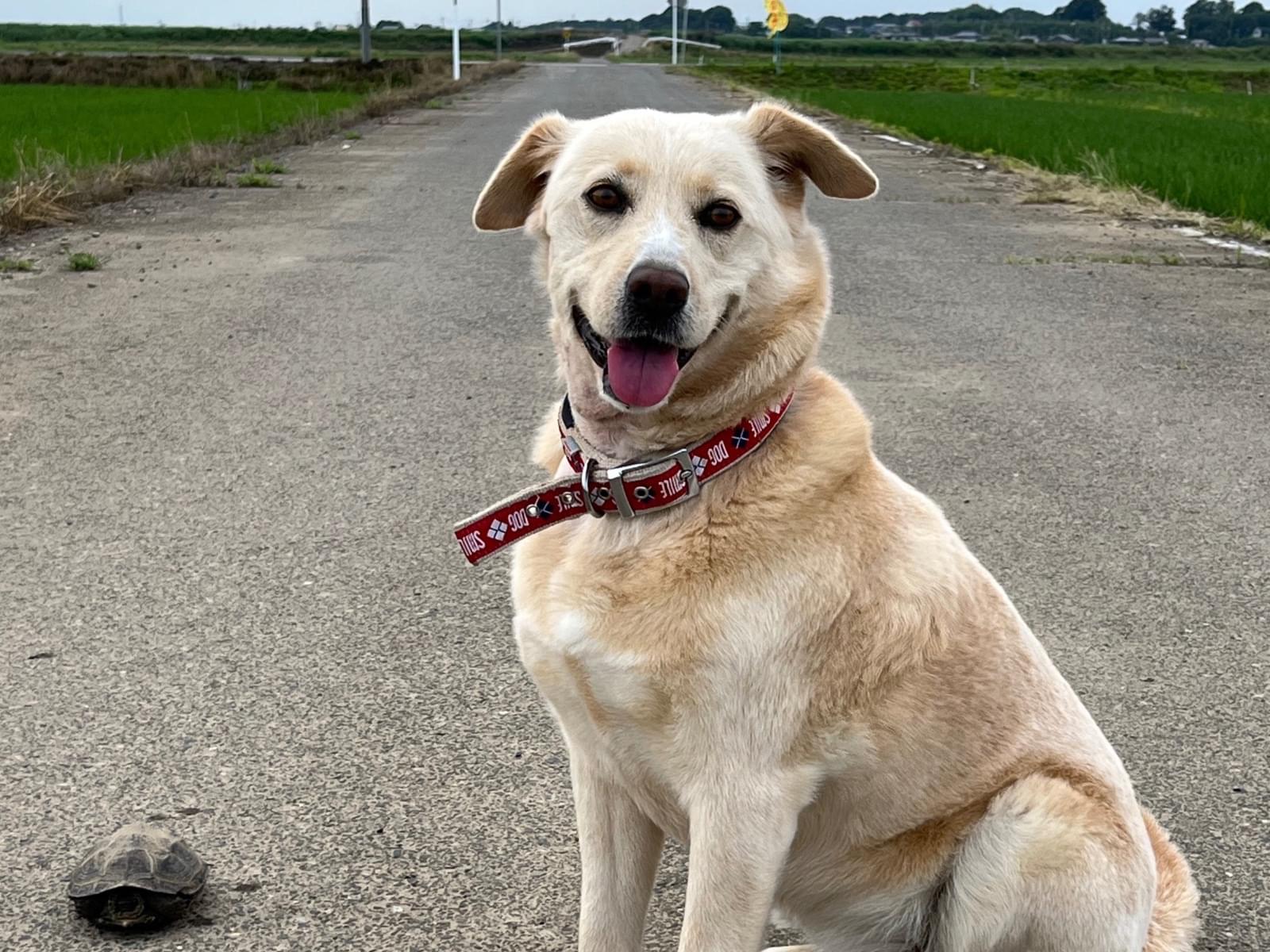 うたちゃん うたちゃん