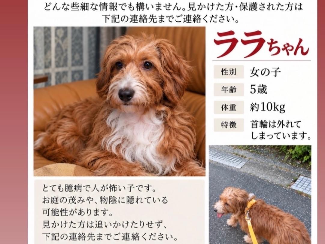 ララちゃん