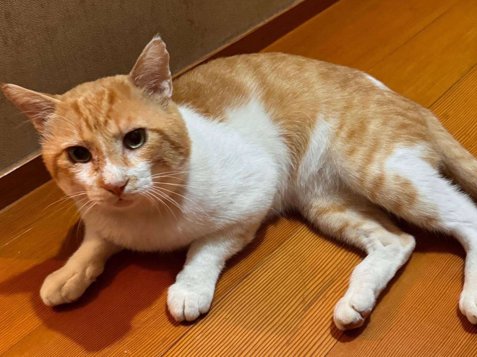 もっちゃん もっちゃん