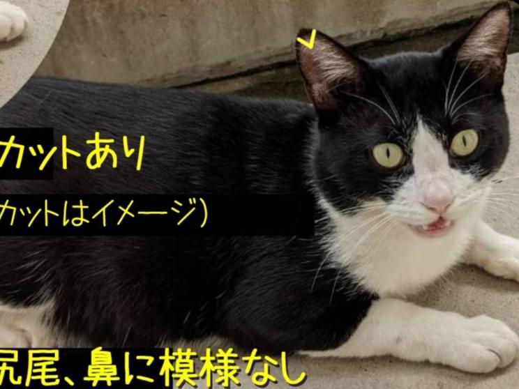 ショウちゃん ショウちゃん