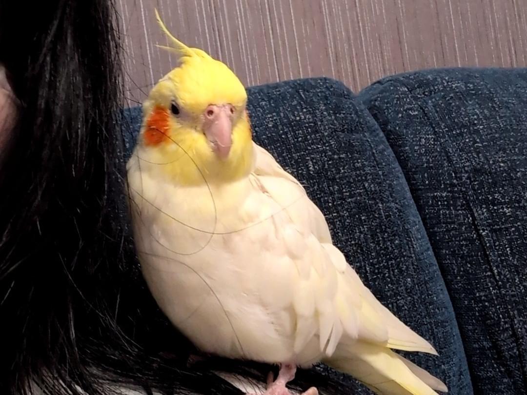 サンちゃん サンちゃん