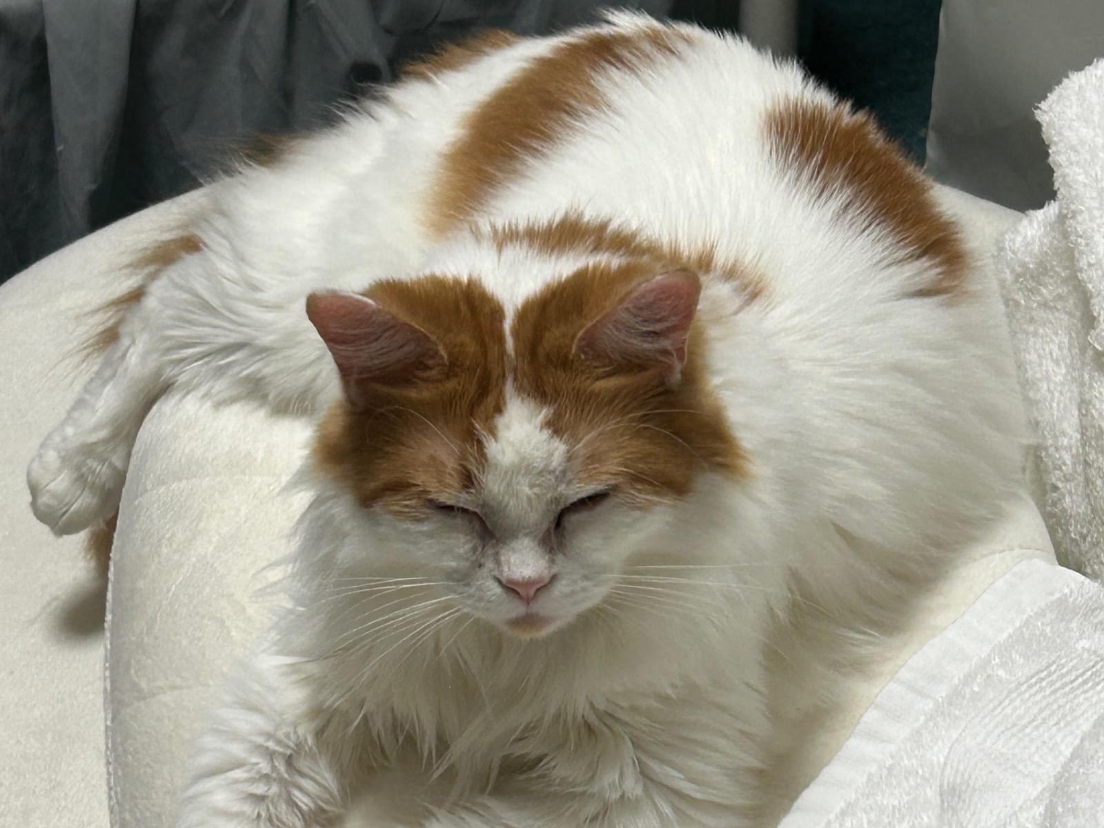 モコちゃん モコちゃん