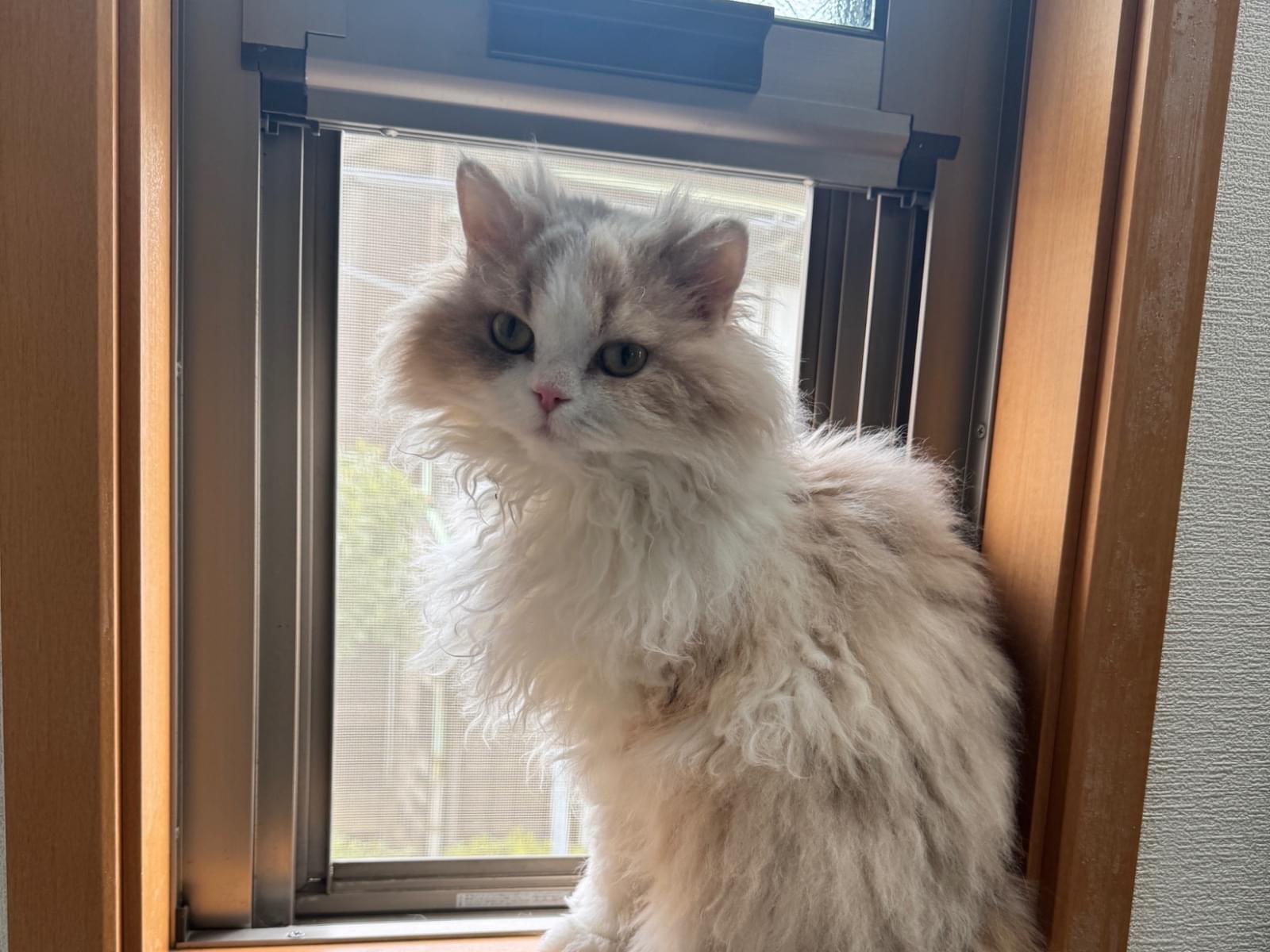 イワちゃん イワちゃん