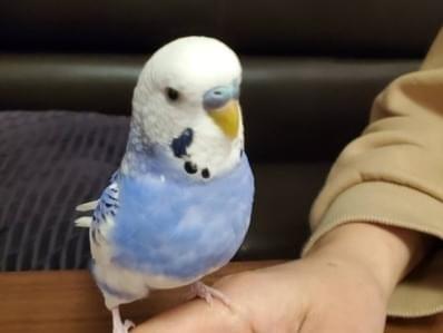ふじちゃん ふじちゃん