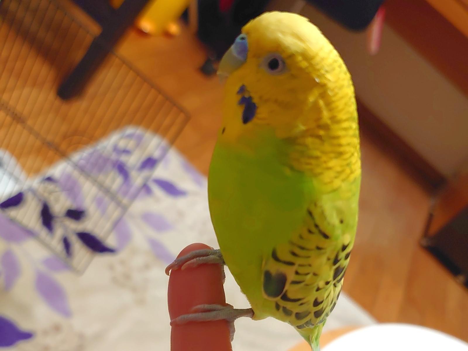 るいちゃん るいちゃん
