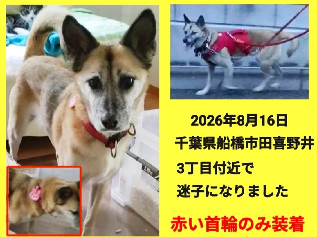 ララちゃん ララちゃん