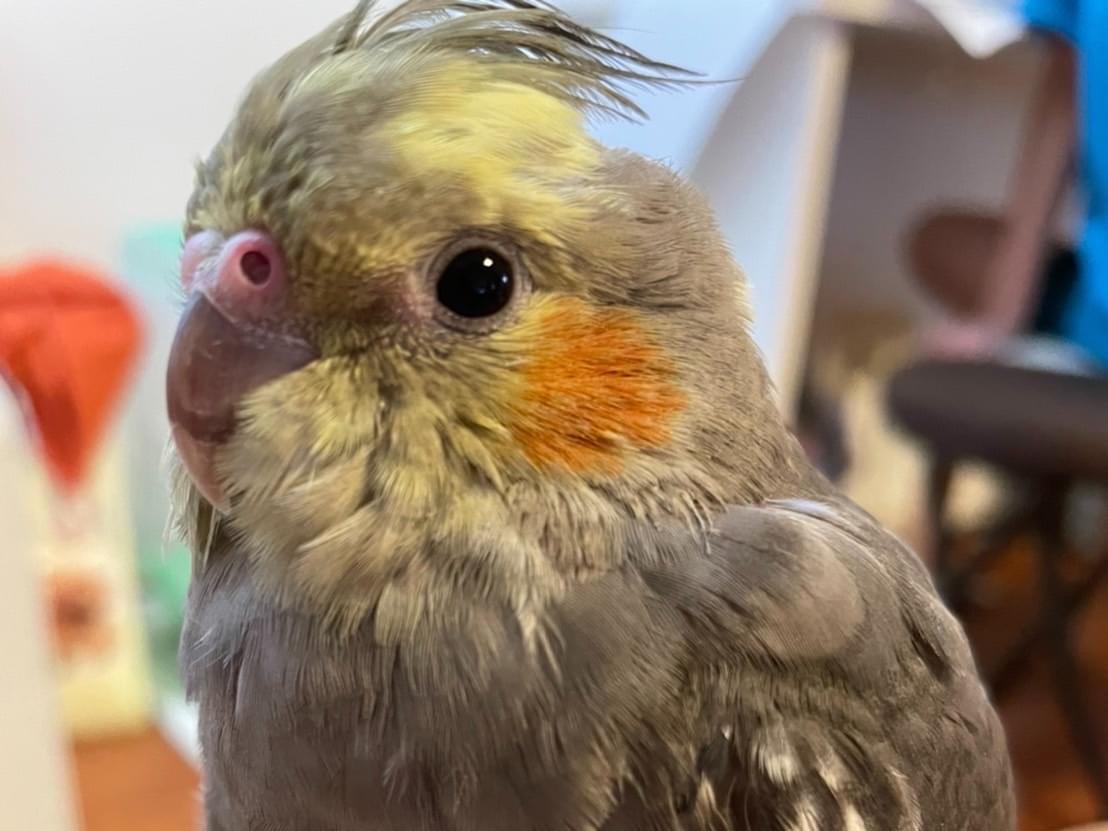 まっちゃん まっちゃん