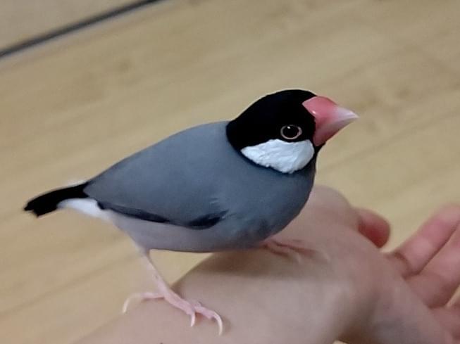 くーちゃん くーちゃん