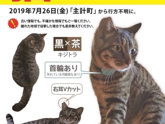 チビちゃん チビちゃん