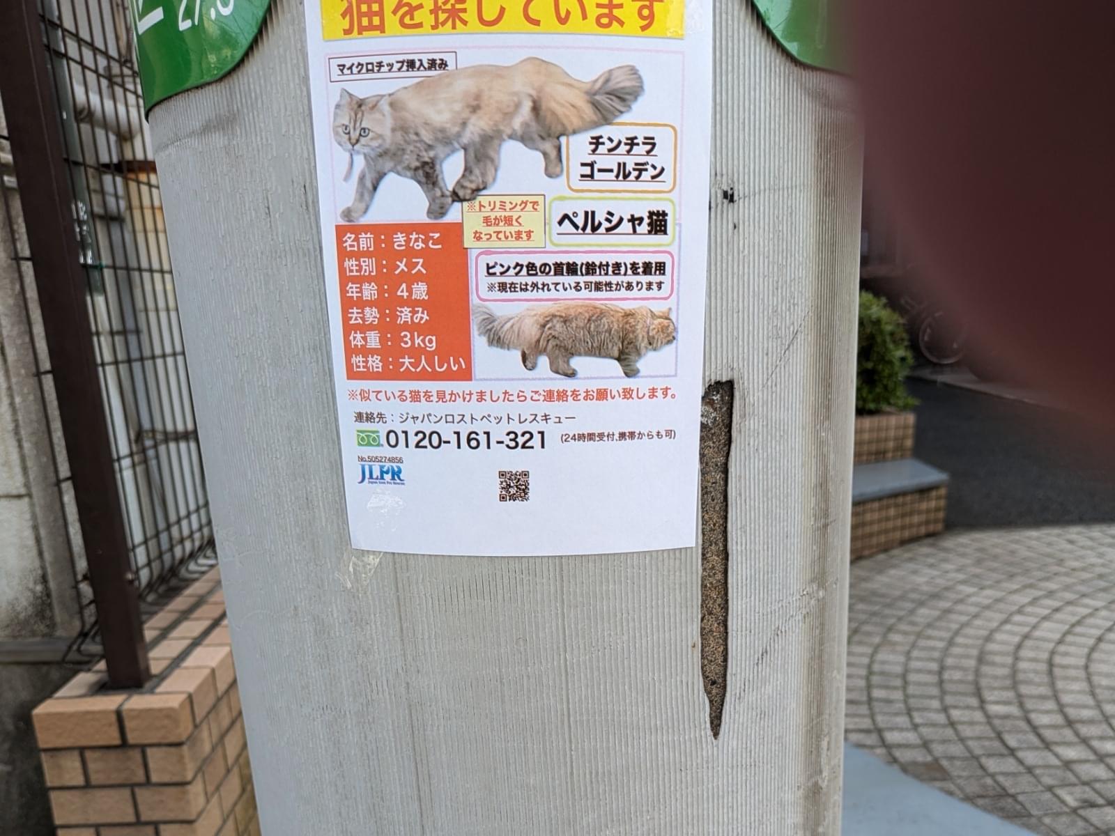 きなこちゃん きなこちゃん