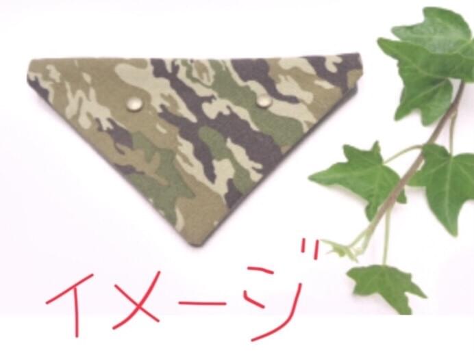 目撃された猫 目撃された猫