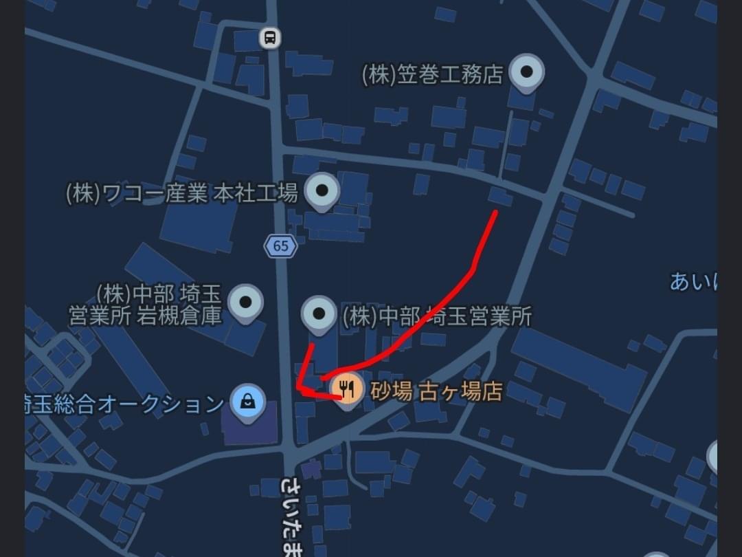目撃された犬