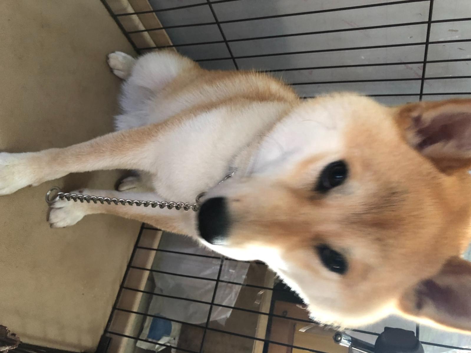 ケンちゃん ケンちゃん