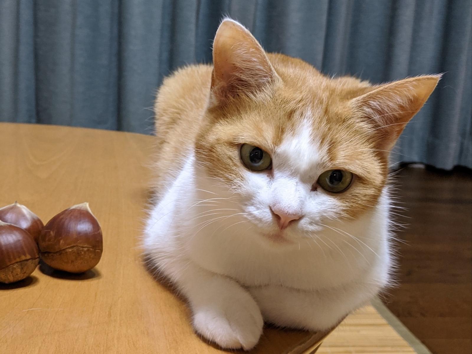 うめちゃん うめちゃん