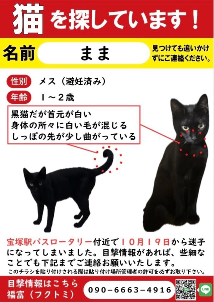 鍵しっぽの黒猫ままを探しています。