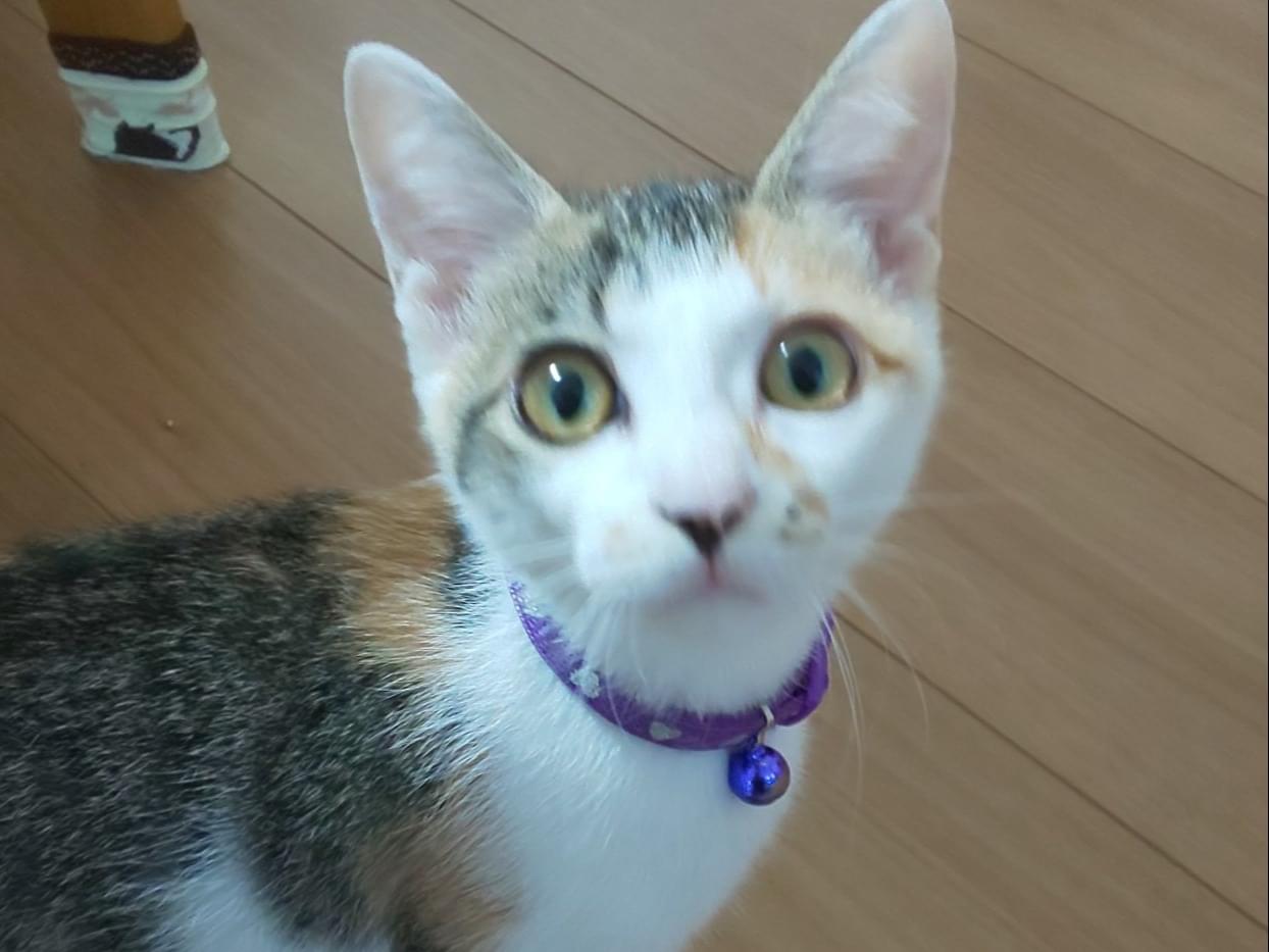 なつちゃん なつちゃん