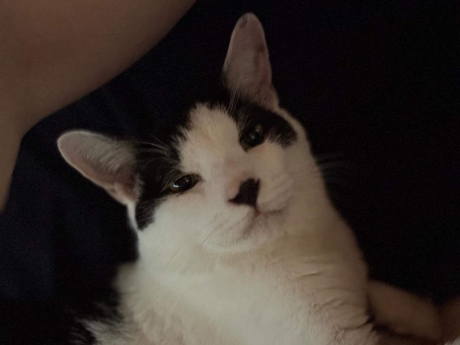 ユンギちゃん ユンギちゃん