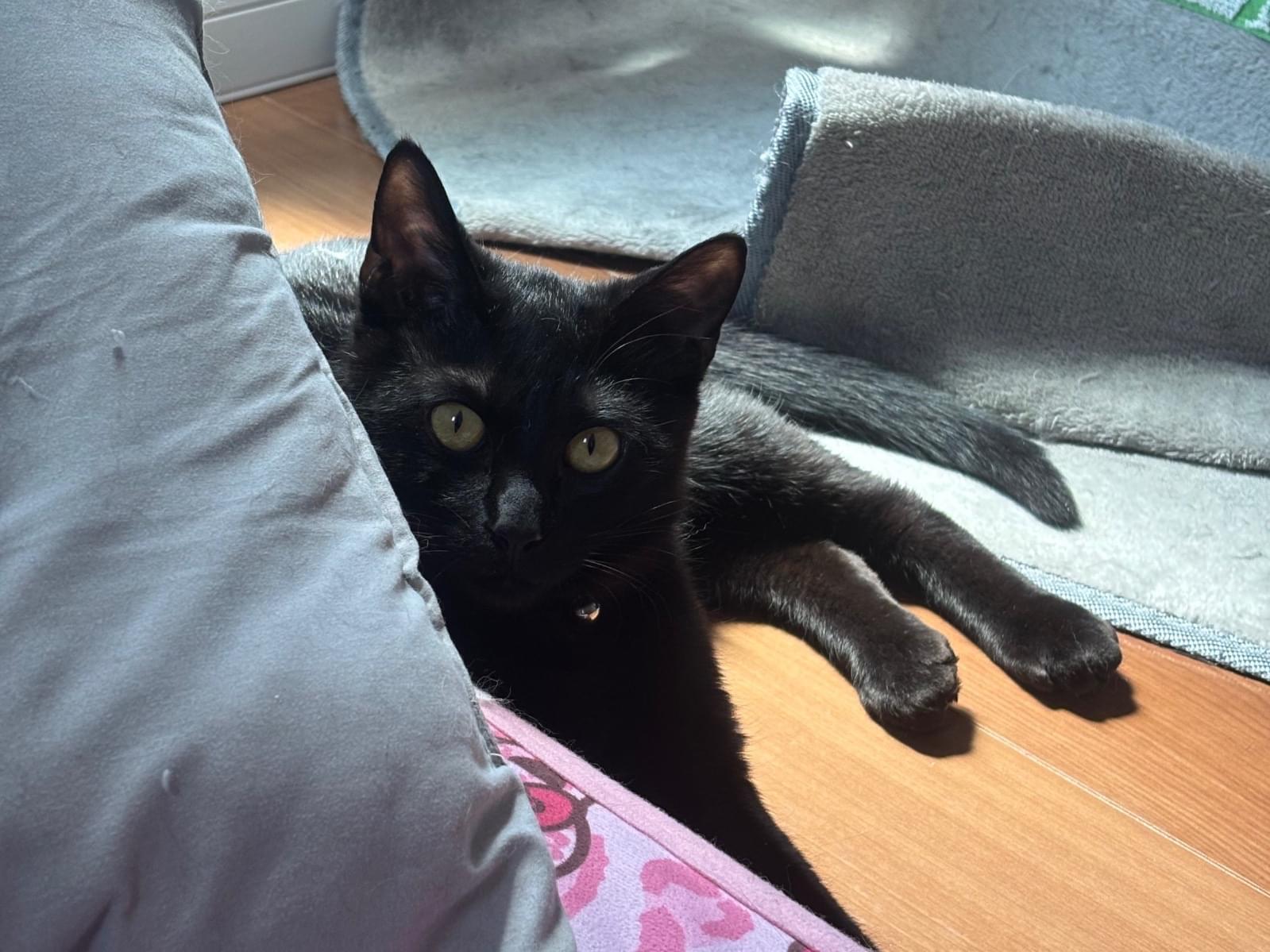 ジジちゃん