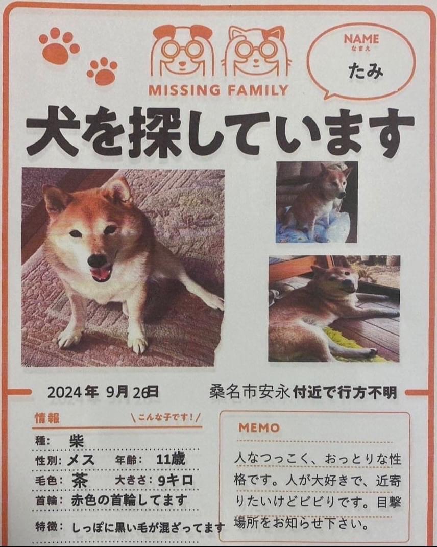 たみを探しています