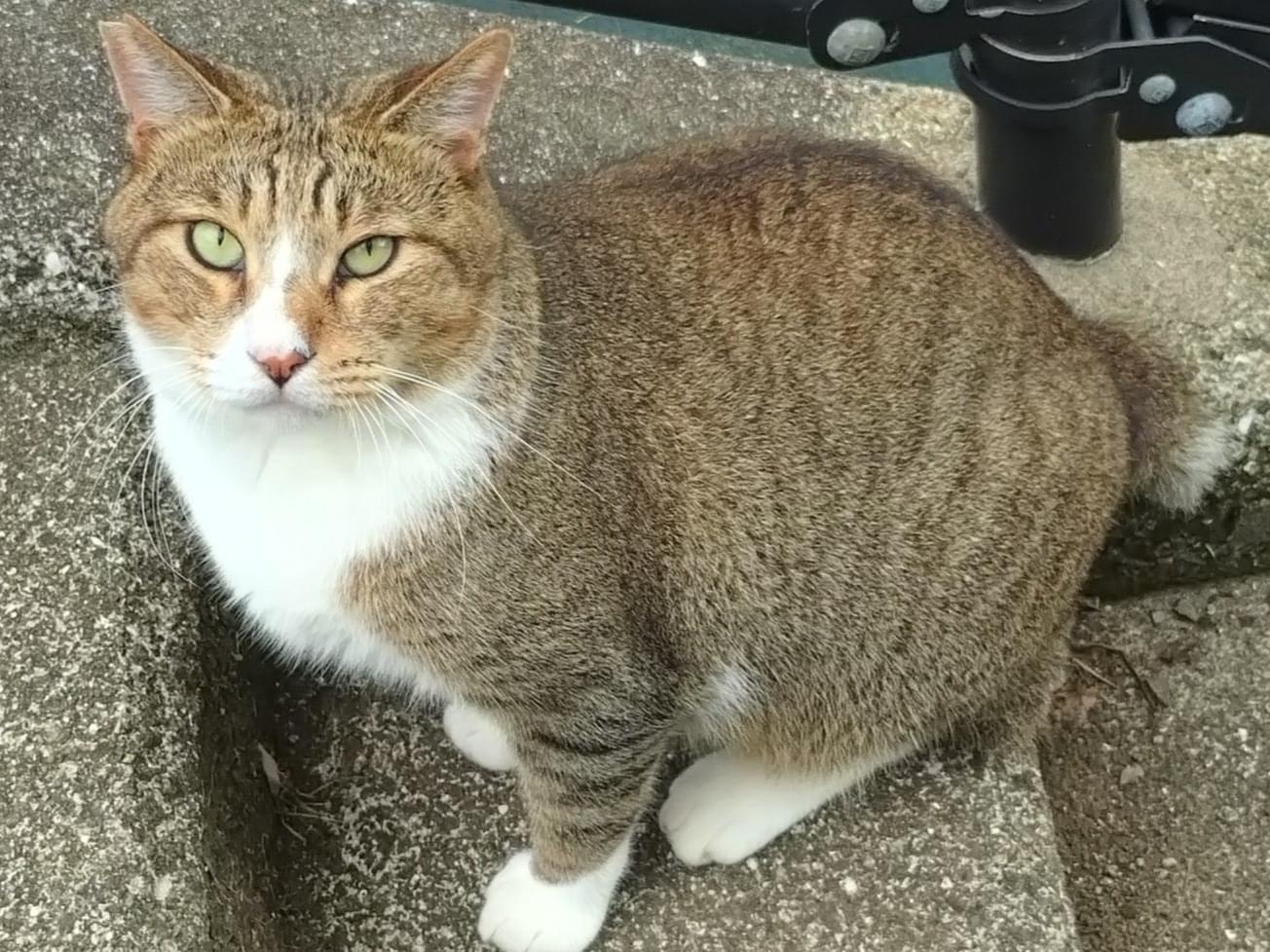 キキちゃん キキちゃん