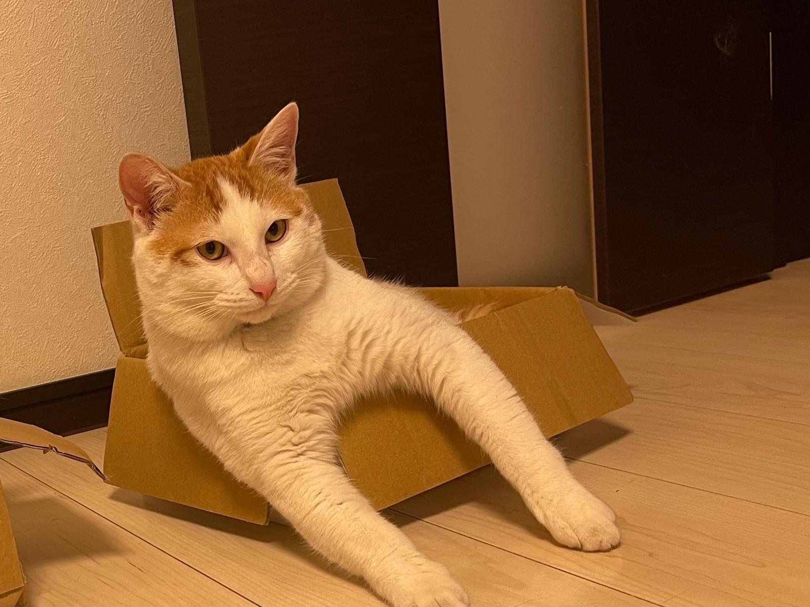 レオンちゃん レオンちゃん